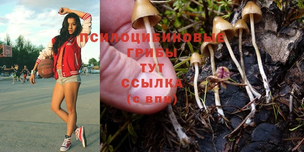 таблы Майский