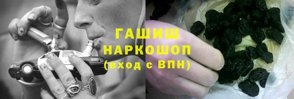 хмурый Магас