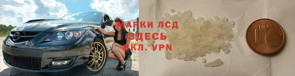 хмурый Магас