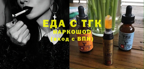 хмурый Магас