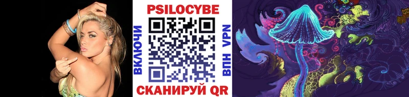 Псилоцибиновые грибы Psilocybe  сколько стоит  Чадан 